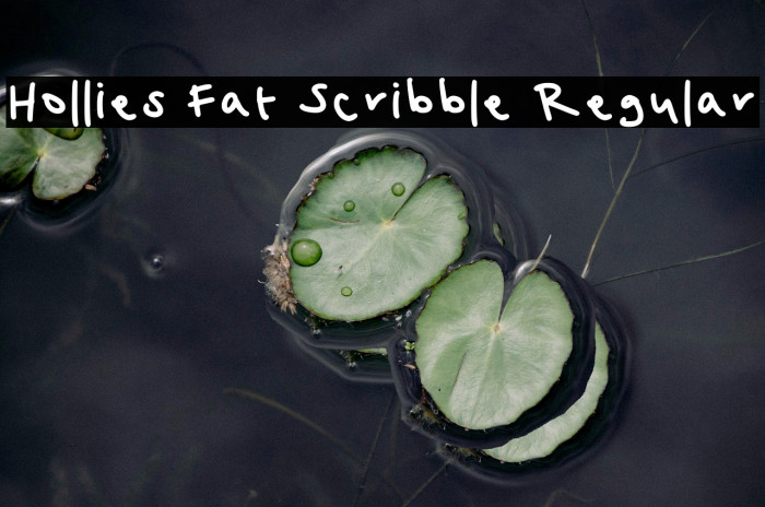Hollies Fat Scribble Regular خط examples