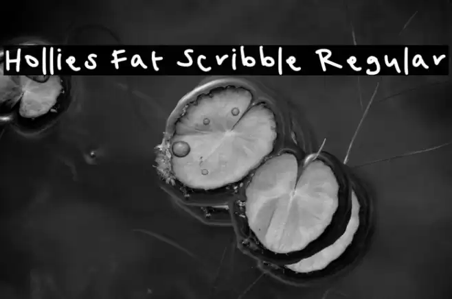 Hollies Fat Scribble Regular Caratteri examples