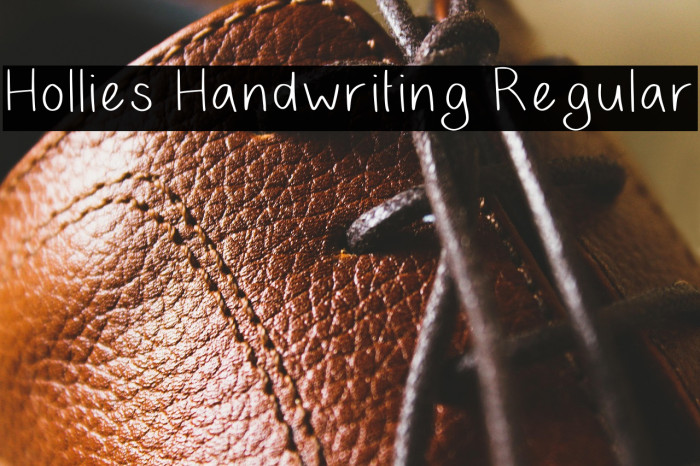 Hollies Handwriting Regular Example 1