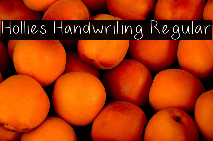 Hollies Handwriting Regular Example 2