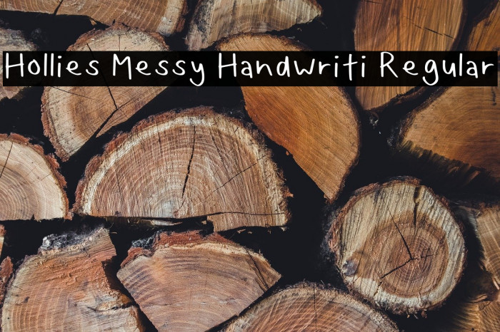 Hollies Messy Handwriti Regular Example 2