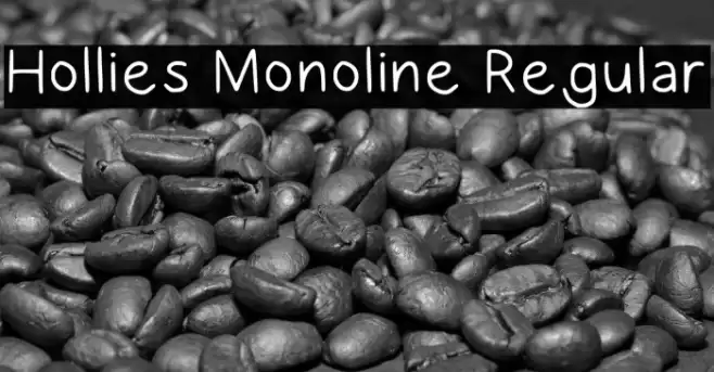 Hollies Monoline Regular Font examples