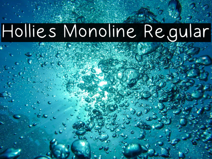 Hollies Monoline Regular Example 2