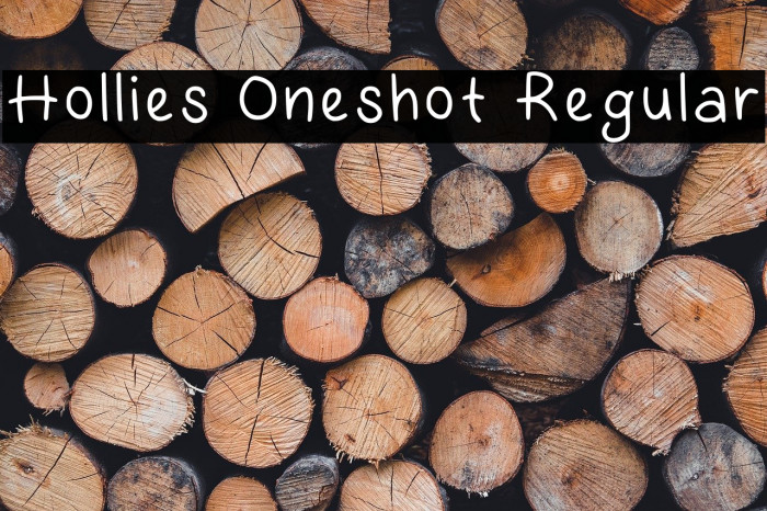 Hollies Oneshot Regular Example 2