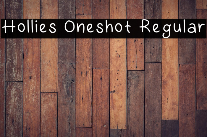 Hollies Oneshot Regular Example 3