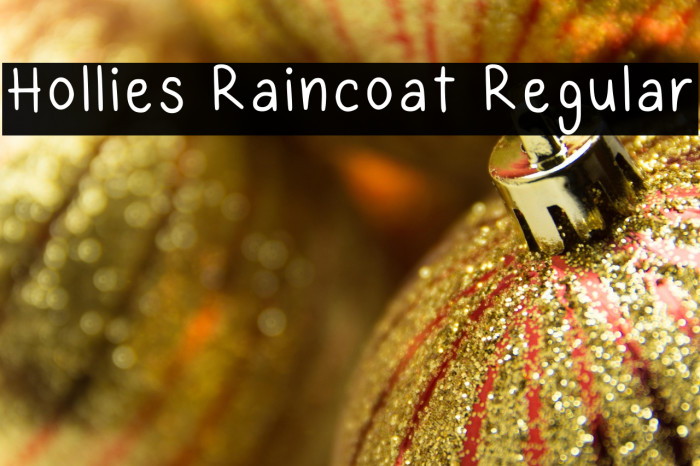 Hollies Raincoat Regular Example 3