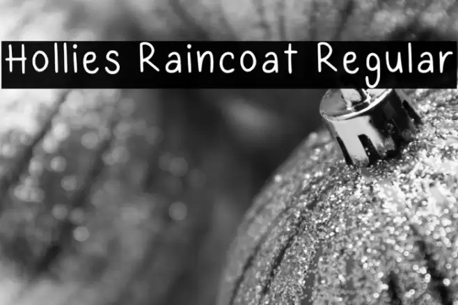 Hollies Raincoat Regular Шрифта examples
