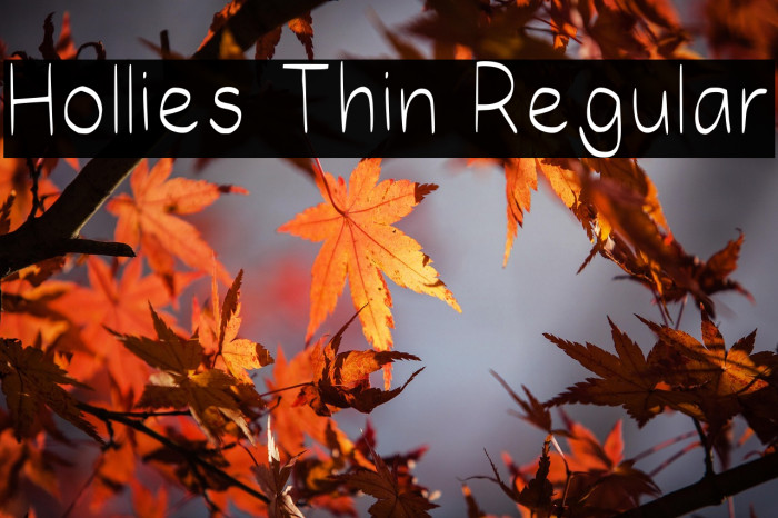 Hollies Thin Regular Example 1