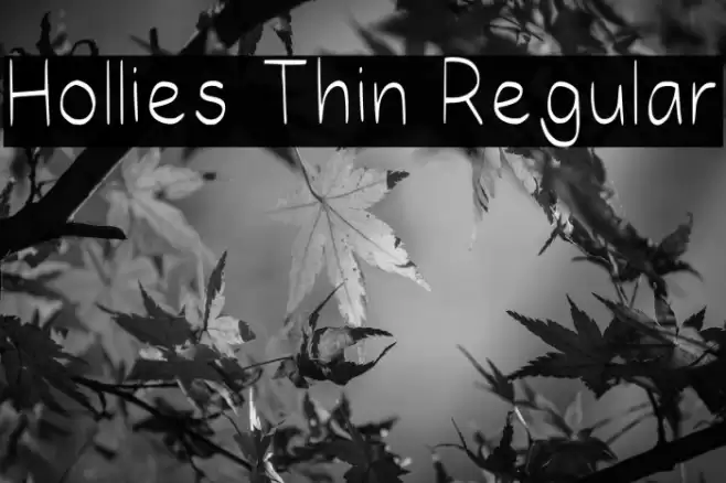 Hollies Thin Regular Шрифта examples