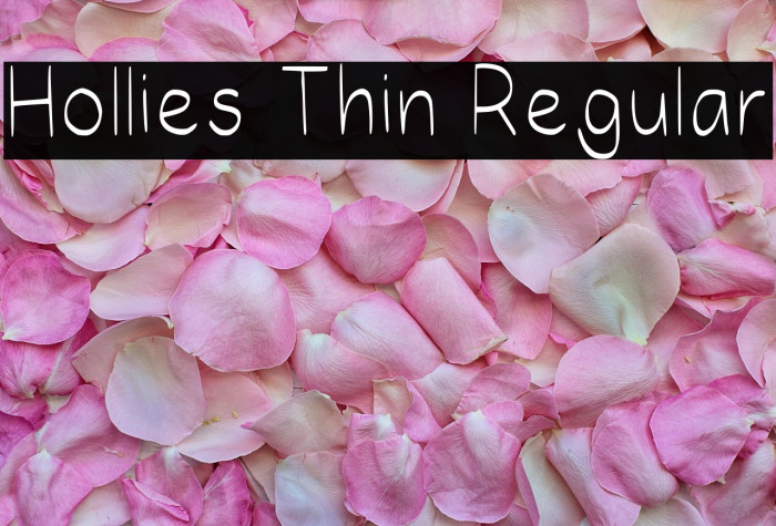 Hollies Thin Regular Example 2