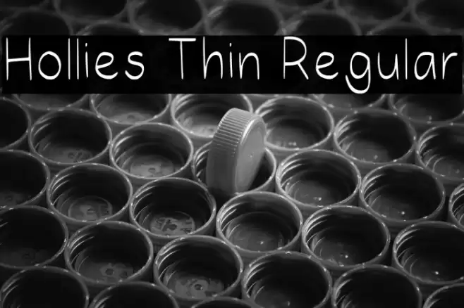 Hollies Thin Regular Шрифта examples