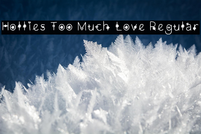 Hollies Too Much Love Regular Example 3