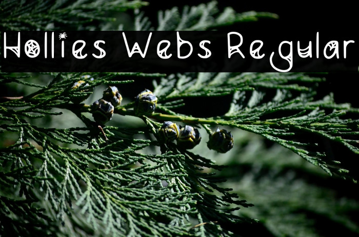 Hollies Webs Regular Example 3