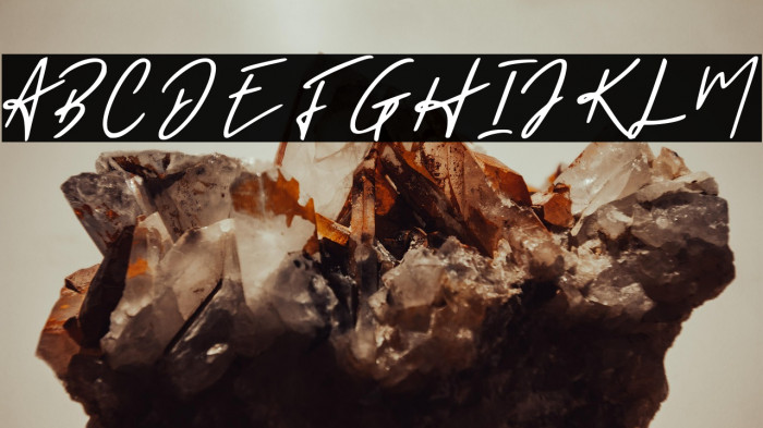 Holligate Signature Demo Example 1