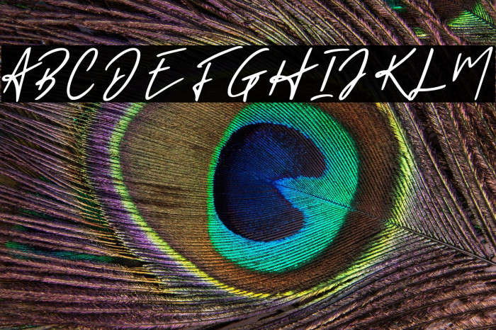 Holligate Signature Demo Example 2