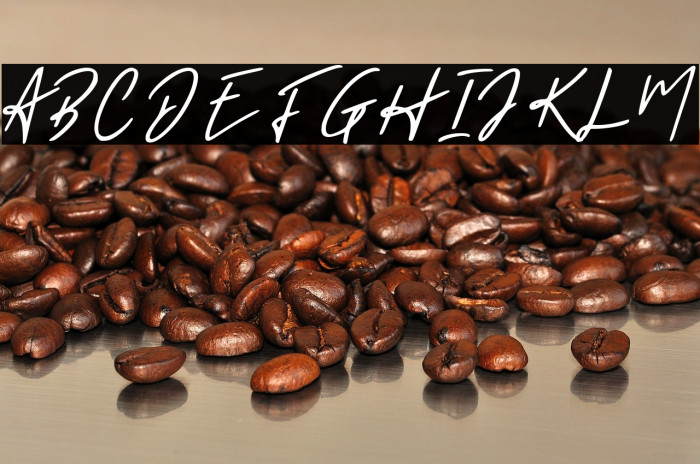 Holligate Signature Demo Example 3