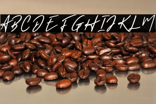Holligate Signature Demo Example 3