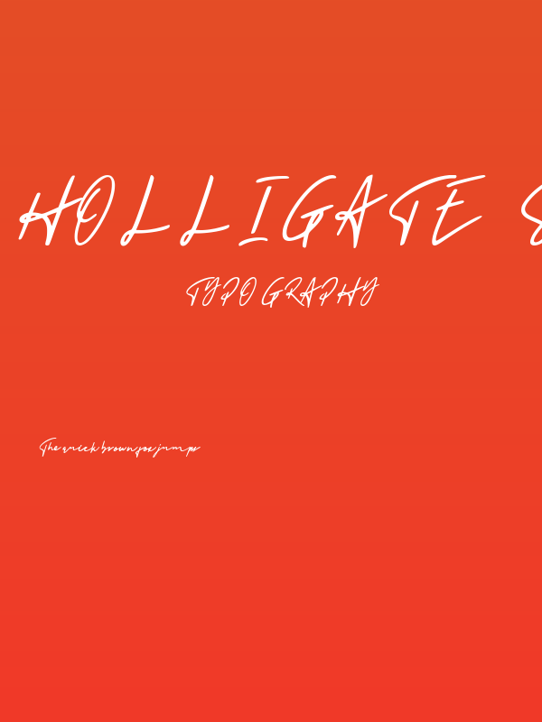 Holligate Signature Demo Poster