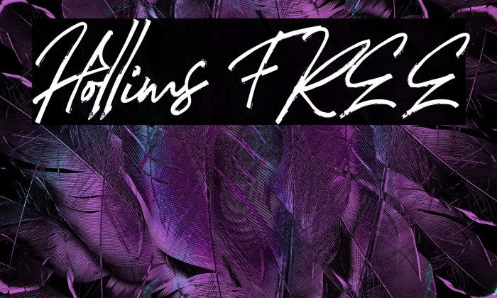 Hollims FREE Example 1