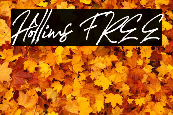 Hollims FREE Example 2