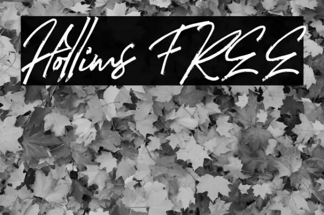 Hollims FREE Font examples