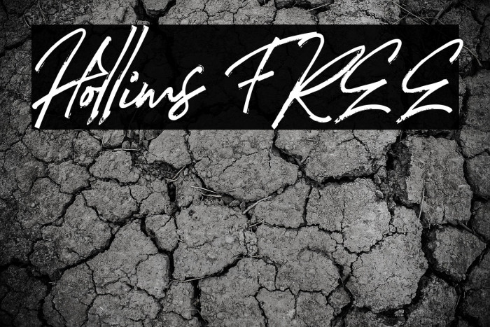 Hollims FREE Example 3