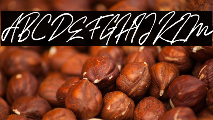 HollimsFREE Example 2