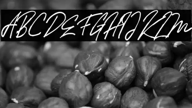 HollimsFREE Font examples