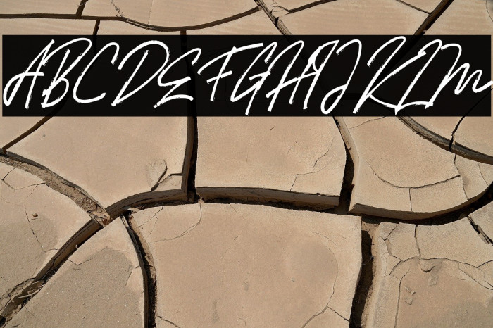 HollimsFREE Example 3