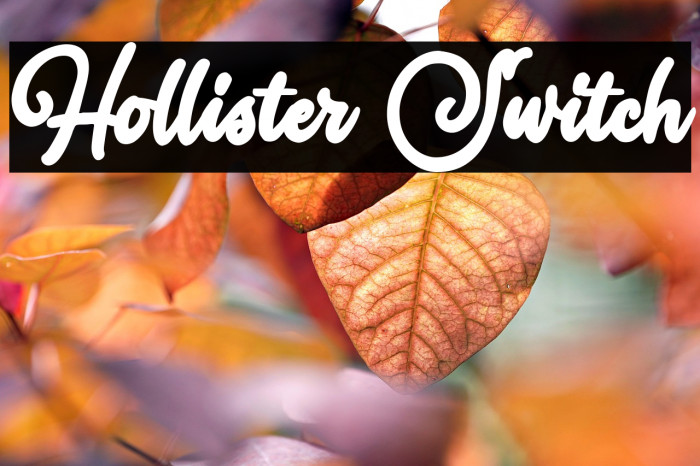 Hollister Switch Example 3