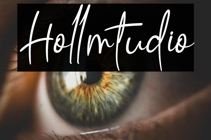 Hollmtudio Example 1