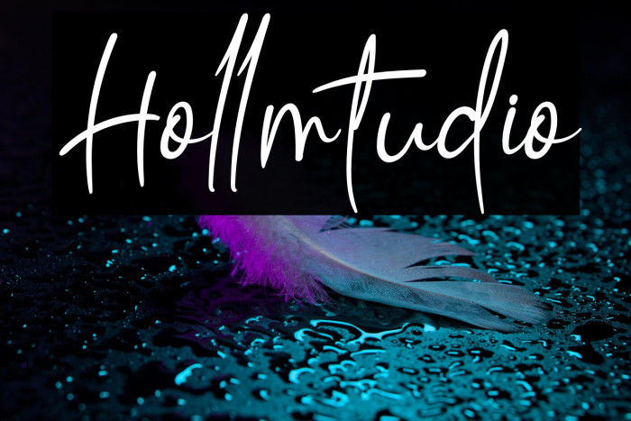 Hollmtudio Example 2