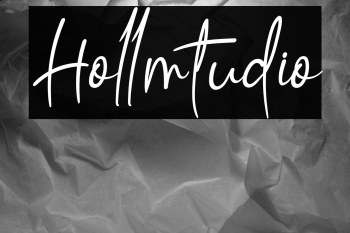 Hollmtudio Example 3