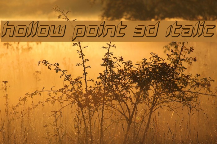 Hollow Point 3D Italic Font examples