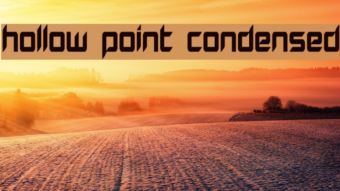 Hollow Point Condensed Example 1