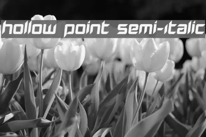 Hollow Point Semi-Italic Font examples