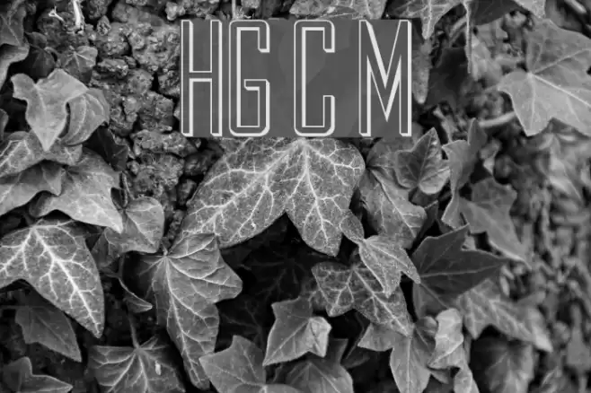 HollowGothic Caps Medium Font examples