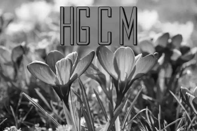 HollowGothic Caps Medium Font examples