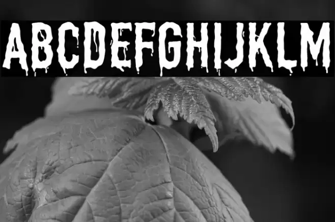 HollowHouseDemo Font examples