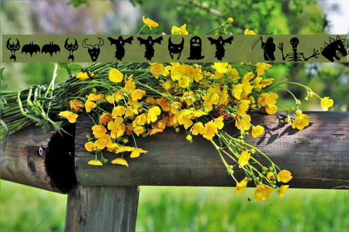 HollowWeenie Bats Schriftart examples