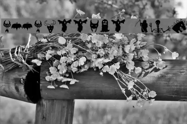 HollowWeenie Bats Schriftart examples