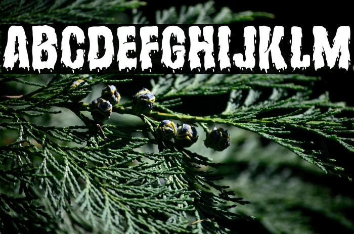 Hollows Free Example 1