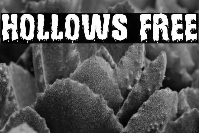 Hollows Free Font examples