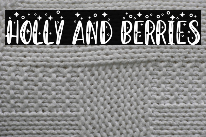 Holly And Berries Example 2