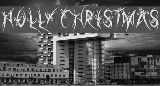 Holly Christmas Polices examples