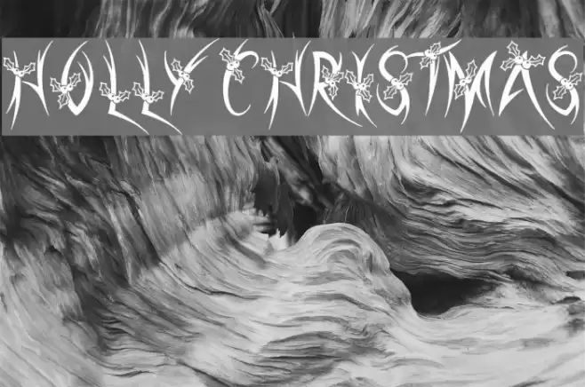 Holly Christmas Polices examples