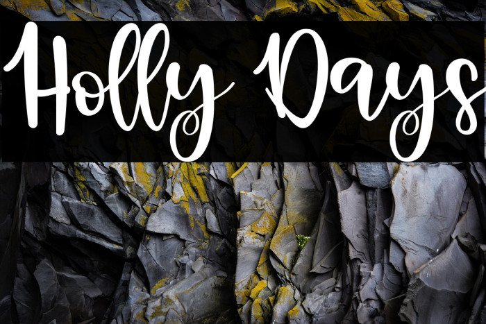 Holly Days Example 1