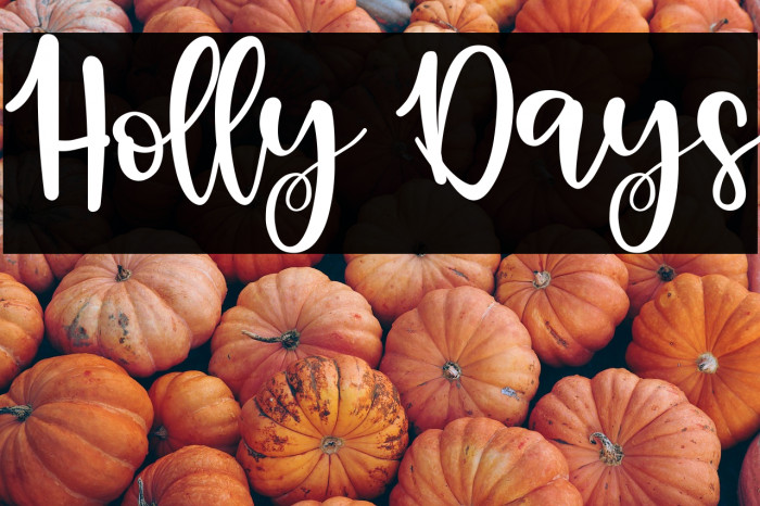 Holly Days Example 2