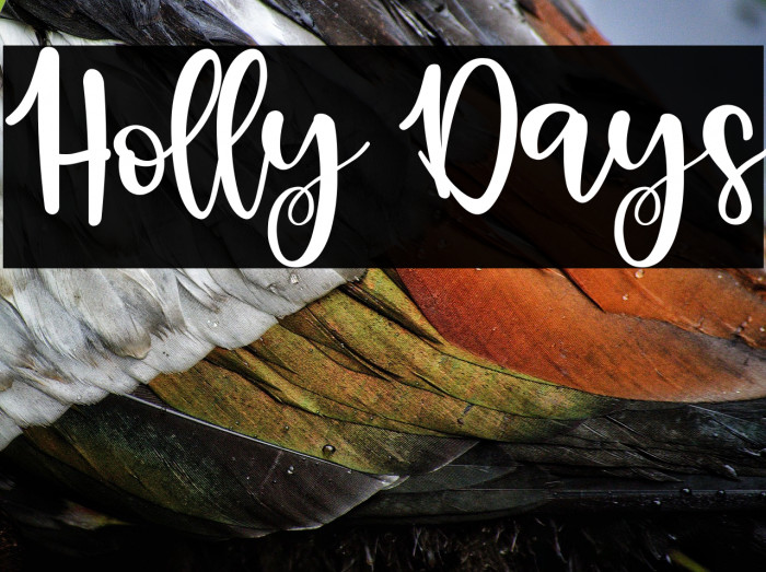 Holly Days Example 3
