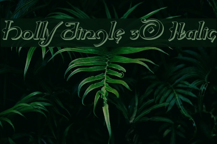 Holly Jingle 3D Italic Font examples